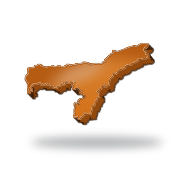 3D map of Assam